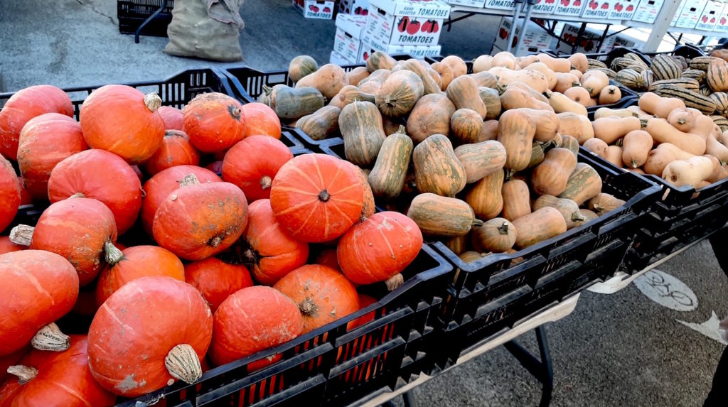 Kabocha, Honeynut, Creme Brulee Butternut, and Delicata squashes at the Greenmarket Farmer's Market in Brooklyn, NY.