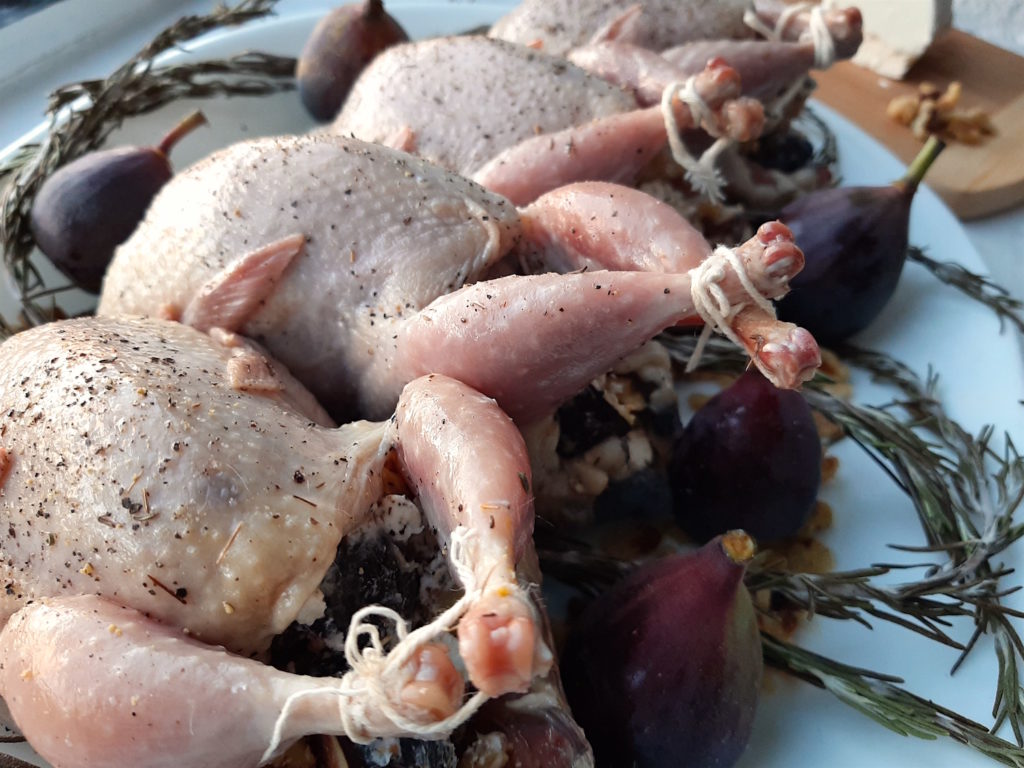 Roast stuffed quail stuffed with figs, walnuts, and goat chese sprinkled with salt, olive oil, thyme, and pepper. Quail on a white plate surrounded by rosemary, figs, peppercorns and walnuts.