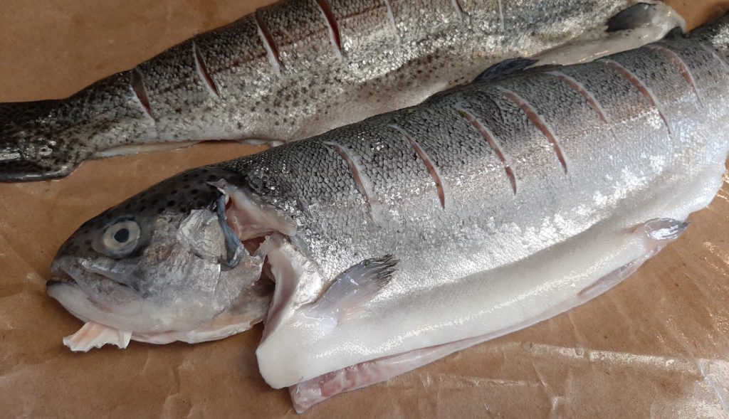 Whole Rainbow Trout on brown paper with cuts along the exterior sides of the fish.