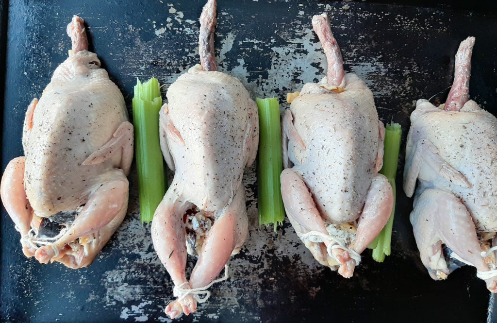 Roast stuffed quail stuffed with figs, walnuts, and goat chese sprinkled with salt, olive oil, thyme, and pepper on a baking sheet separate by celery. Stuffed quail ready to go in the oven.
