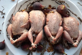 4 raw quail stuffed with figs, walnuts, and goat chese sprinkled with salt, olive oil, thyme, and pepper. Quail on a white plate surrounded by rosemary, figs, peppercorns and walnuts.